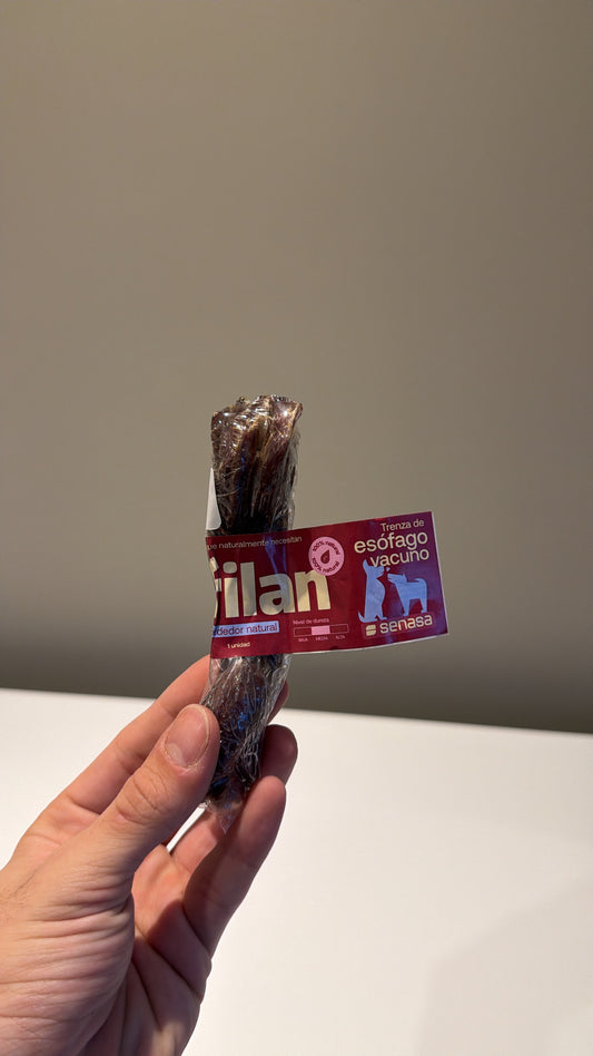 Trenza de esófago vacuno Filan